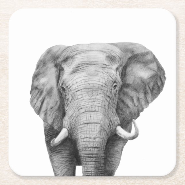 Porta-copo De Papel Quadrado Plano de backup IV (Frente)