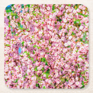 Porta-copo De Papel Quadrado Plumeira em Flor