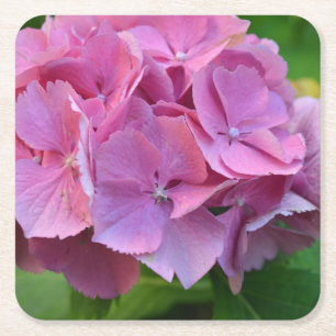 Porta-copo De Papel Quadrado Pompom Rosa Hidrangea Hortensia Flor