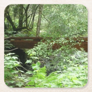 Porta-copo De Papel Quadrado Ponte Muir Woods I