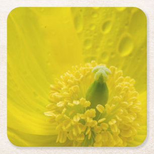 Porta-copo De Papel Quadrado Poppy amarelo oriental