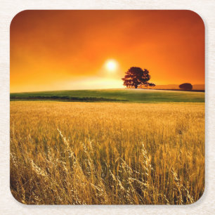 Porta-copo De Papel Quadrado Por do sol vermelho-sangue