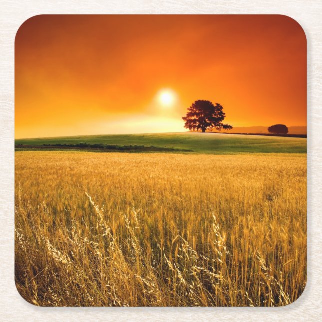 Porta-copo De Papel Quadrado Por do sol vermelho-sangue (Frente)
