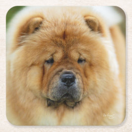 Porta-copo De Papel Quadrado Porta copos Bamba Chow