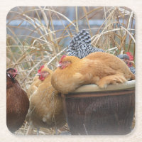 Porta copos de Festa de Galinha