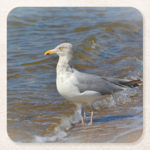 Porta-copo De Papel Quadrado Porta copos de Festa de Seagull