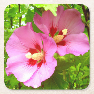 Porta-copo De Papel Quadrado Porta copos de Papel Hibiscus Rosa