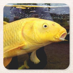 Porta-copo De Papel Quadrado Porta copos de papel Koi Carp