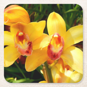 Porta-copo De Papel Quadrado Porta copos de Papel Orquídea de Cymbidium Amarel