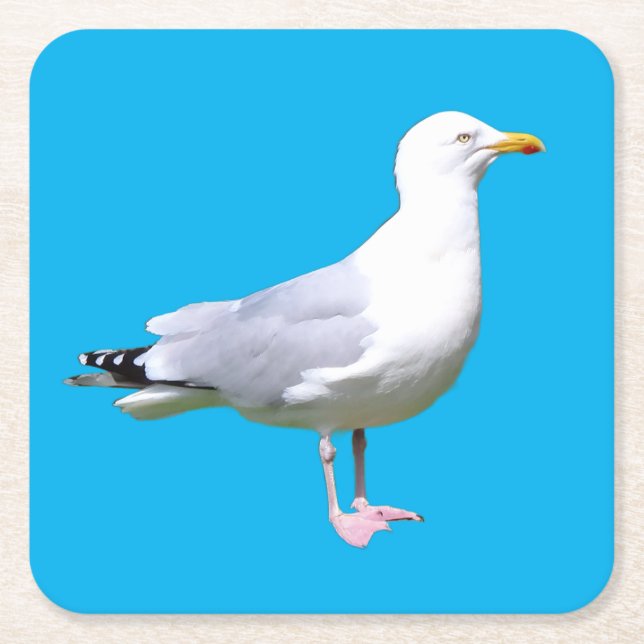 Porta-copo De Papel Quadrado Porta copos de Pé-de-Seagull (Frente)