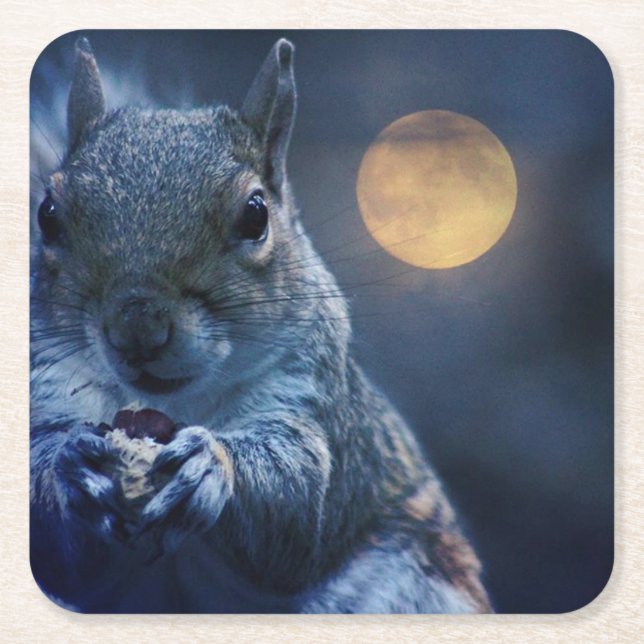 Porta-copo De Papel Quadrado porta copos do esquilo (Frente)