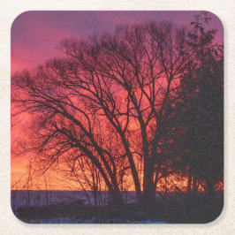 Porta-copo De Papel Quadrado Porta copos em árvore e solário