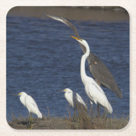 Porta-copo De Papel Quadrado Porta copos Fotográfica Heron Birds