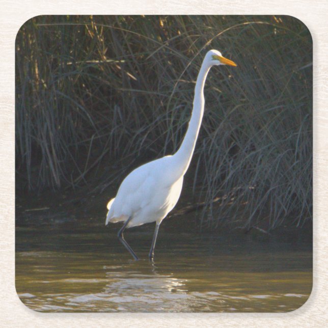 Porta-copo De Papel Quadrado Porta copos Heron Bird (Frente)