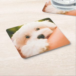 Porta-copo De Papel Quadrado Portas copos de Cachorro Cachorro 2