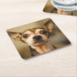 Porta-copo De Papel Quadrado Portas copos de Cachorro Cortado 10