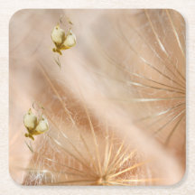 Portas copos de papel