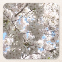 Portas copos de papel Cherry Blossom
