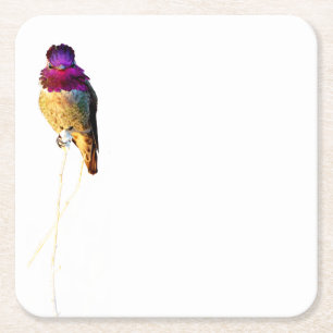 Porta-copo De Papel Quadrado Portas copos de papel fotográfico de Hummingbird d