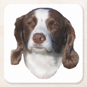 Porta-copo De Papel Quadrado Portas copos de papel para cães castanhos e branco