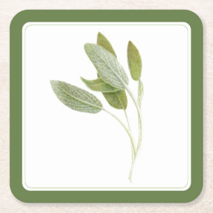 Porta-copo De Papel Quadrado Portas copos de Papel Quadrado FRESH SAGE (-text) 