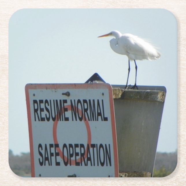 Porta-copo De Papel Quadrado Portas copos náuticas do sinal (Frente)
