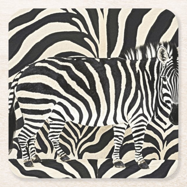 Porta-copo De Papel Quadrado Portas copos Zebra (Frente)