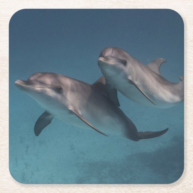 Porta-copo De Papel Quadrado Pose brincalhão (Frente)