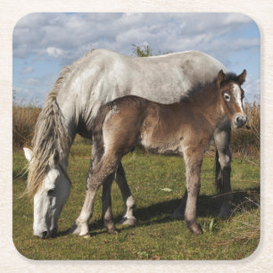 Porta-copo De Papel Quadrado Potro de Cavalo Camargue com Mãe