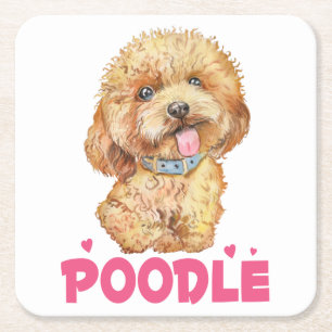 Porta-copo De Papel Quadrado Presentes de Mãe de Cachorro Poodle Apricot Aquare
