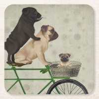 Pugs na Bicicleta