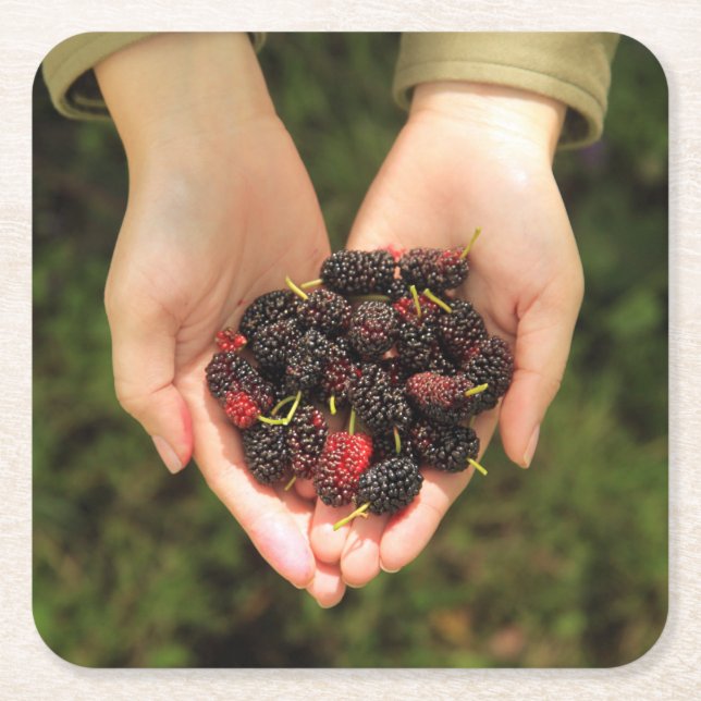 Porta-copo De Papel Quadrado Punhado das bagas do Mulberry frescas e doces (Frente)