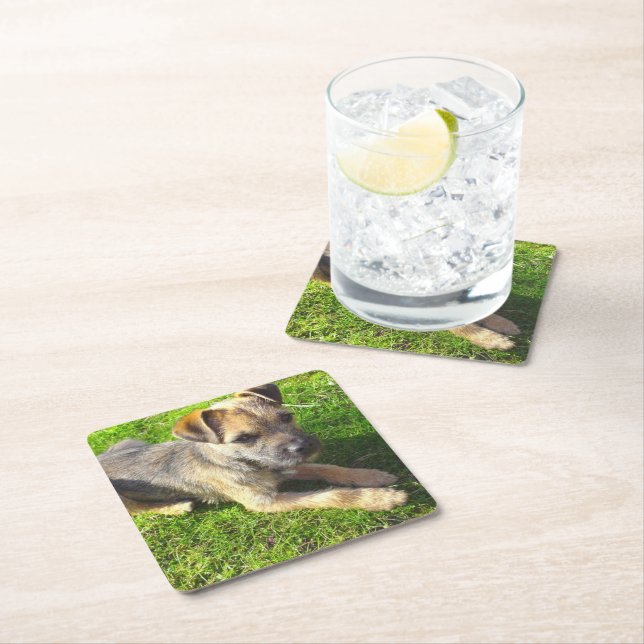 Porta-copo De Papel Quadrado Puppy (Insitu)