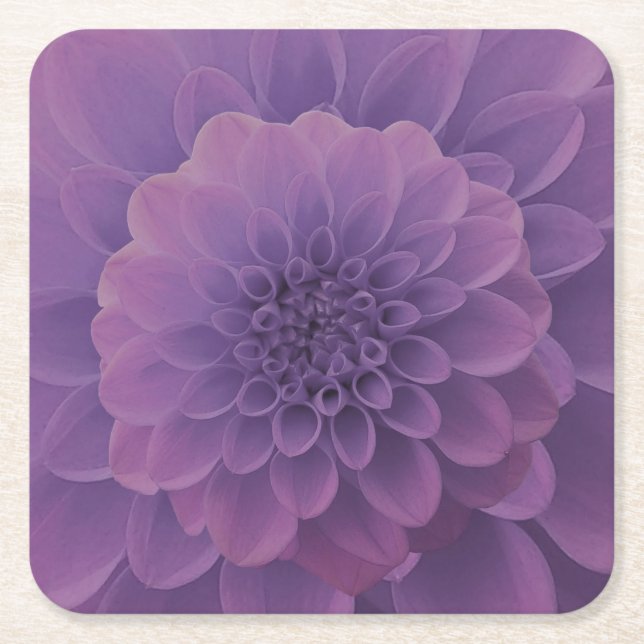 Porta-copo De Papel Quadrado Purple Dahlia (Frente)