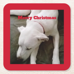 Porta-copo De Papel Quadrado Quadrado de Natal de Cachorro Branco Dormindo