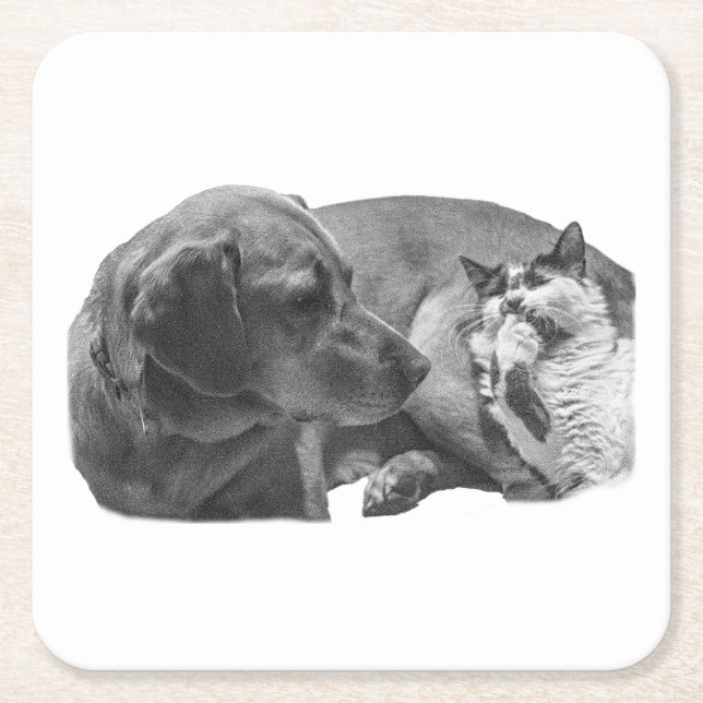 Porta-copo De Papel Quadrado Quebra de Sip com Parceiros (Frente)