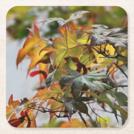 Porta-copo De Papel Quadrado Queda