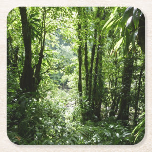 Porta-copo De Papel Quadrado Rain Forest II Tropical Verde
