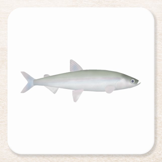 Porta-copo De Papel Quadrado Rainbow Smelt (Frente)