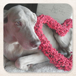Porta-copo De Papel Quadrado Rain's Love - Weimaraner Dog Paper Porta copos