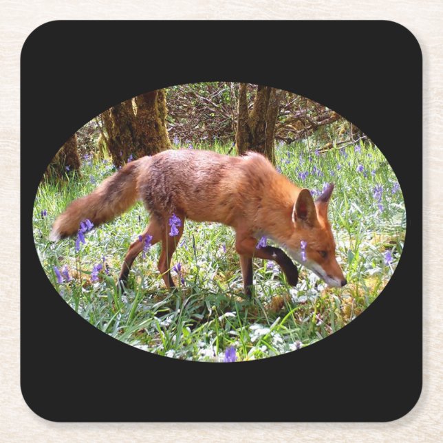 Porta-copo De Papel Quadrado Raposa Vermelha na Porta copos Bluebells (Frente)