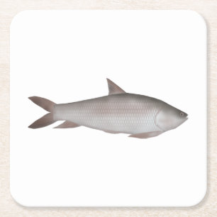 Porta-copo De Papel Quadrado Reba Carp