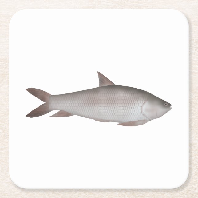 Porta-copo De Papel Quadrado Reba Carp (Frente)