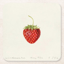 Porta-copo De Papel Quadrado Red Strawberry (por Louis C.C. Krieger)