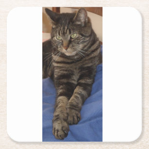 Porta-copo De Papel Quadrado Regal Dave Custom Costers