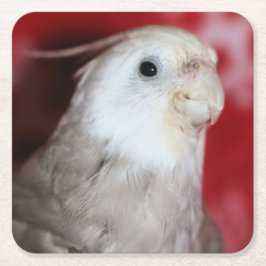 Porta-copo De Papel Quadrado Réplicas