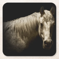 Retrato de Cavalo VI