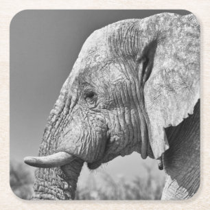 Porta-copo De Papel Quadrado Retrato de elefante