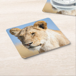 Porta-copo De Papel Quadrado Retrato de uma leoa contra a foto do céu azul