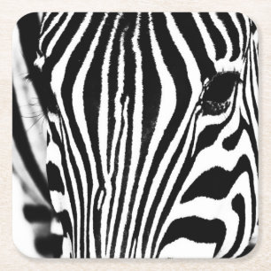 Porta-copo De Papel Quadrado Retrato zebra preto e branco